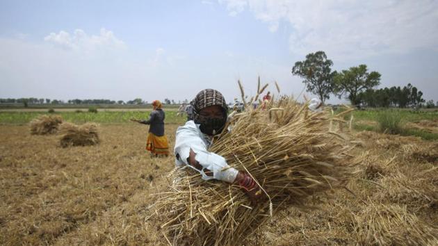 Minimum Support Price for summer-sown crops hiked by 50-80% | Latest ...