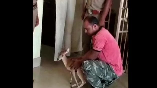 The farmer with the barking deer in Odisha. (Twitter/@ANI) The farmer with the barking deer in Odisha. (Twitter/@ANI)