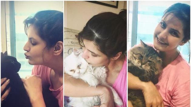 Zarine Khan is said to be a big cat lover and has reportedly a dozen of them at her home.