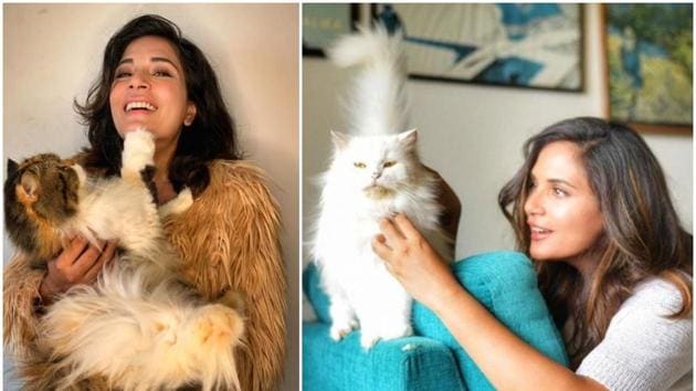 Richa Chadha has two cats, namely Kamli and Jugni.