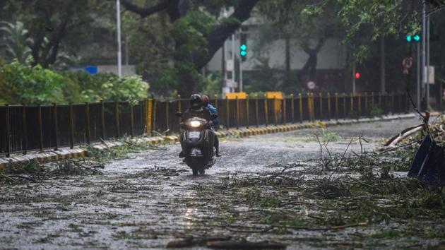 A scooterist moves on a road where a tree fell during rains and strong winds triggered by Cyclone Nisarga in Mumbai.(PTI)
