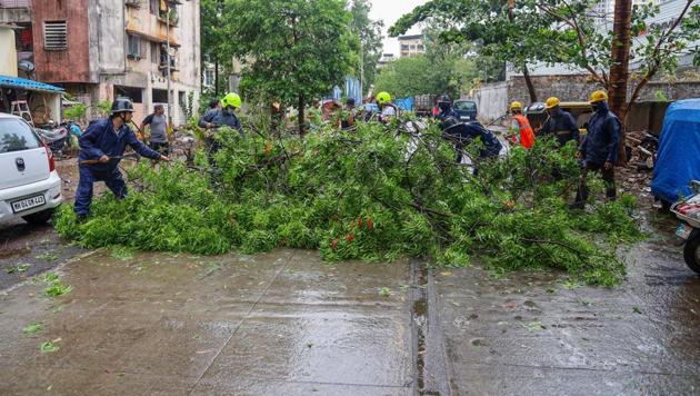 According to officials, 85 large trees, some of which fell over houses, and 11 electric poles were ripped out as the National Disaster Response Force (NDRF) said its team will assess the damage once cyclonic storm completes landfall.(PTI photo)