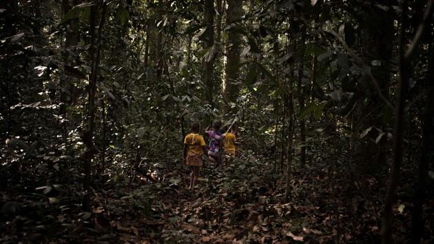 A group of young Bayaka pygmies walk inside the forest while on a journey to a hunting camp. The farmers take advantage of the pygmies to get free or very low paid labour to work in illegal diamond mines and agricultural fields, as reported by AFP. (Florent Vergnes / AFP) A group of young Bayaka pygmies walk inside the forest while on a journey to a hunting camp. The farmers take advantage of the pygmies to get free or very low paid labour to work in illegal diamond mines and agricultural fields, as reported by AFP. (Florent Vergnes / AFP)