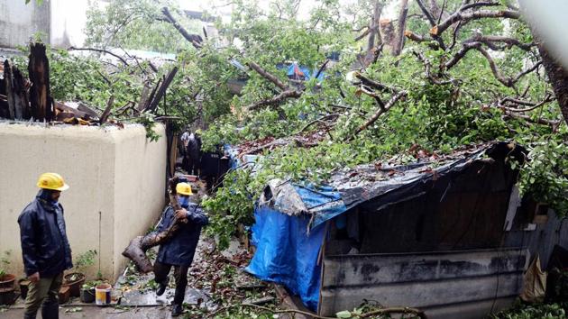 Trees were uprooted on two separate occasions on Thursday.(PTI Photo)