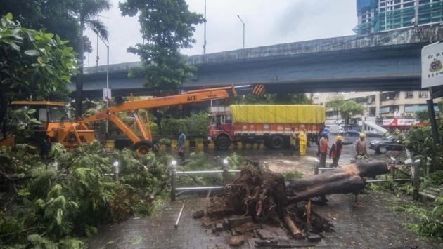 In Sion, trees took a hit to the ground as Cyclone Nisarga swept Mumbai after making landfall near Alibag on June 3. (Pratik Chorge / HT Photo) In Sion, trees took a hit to the ground as Cyclone Nisarga swept Mumbai after making landfall near Alibag on June 3. (Pratik Chorge / HT Photo)