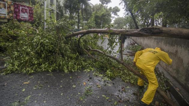 In Adarsh Nagar, Worli, a tree takes a hit to the ground because of the wind speed of Cyclone Nisarga that hit the city on June 3. (Pratik Chorge / HT Photo) In Adarsh Nagar, Worli, a tree takes a hit to the ground because of the wind speed of Cyclone Nisarga that hit the city on June 3. (Pratik Chorge / HT Photo)