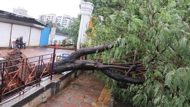 A tree is felled by Cyclone Nisarga in Kalyan, Mumbai, on June 3. Chief minister Uddhav Thackeray and his deputy Ajit Pawar reviewed the situation in the morning, with district collectors and divisional commissioner. (Rishikesh Choudhary / HT Photo ) A tree is felled by Cyclone Nisarga in Kalyan, Mumbai, on June 3. Chief minister Uddhav Thackeray and his deputy Ajit Pawar reviewed the situation in the morning, with district collectors and divisional commissioner. (Rishikesh Choudhary / HT Photo )