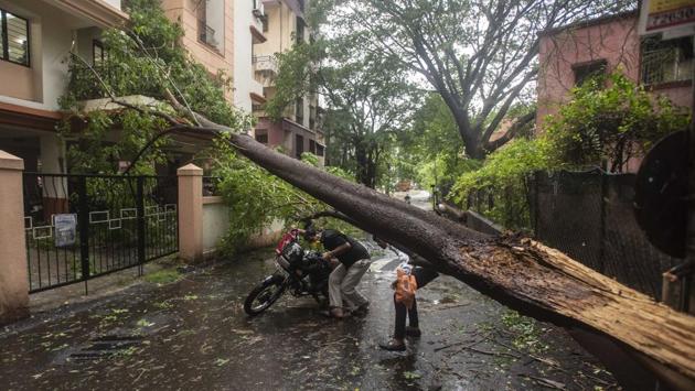 A tree taken down by Cyclone Nisarga in Karve Nagar in Pune, on June 3. Seven districts will continue to remain on alert until the morning of June 4. (Pratham Gokhale / HT Photo) A tree taken down by Cyclone Nisarga in Karve Nagar in Pune, on June 3. Seven districts will continue to remain on alert until the morning of June 4. (Pratham Gokhale / HT Photo)