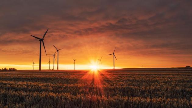 World Environment Day is celebrated every year on June 5 to remind people that we should not take nature for granted. (Representational Image)(Unsplash) World Environment Day is celebrated every year on June 5 to remind people that we should not take nature for granted. (Representational Image)(Unsplash)