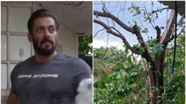 Salman Khan has been quarantining at his Panvel farmhouse with friends and family.