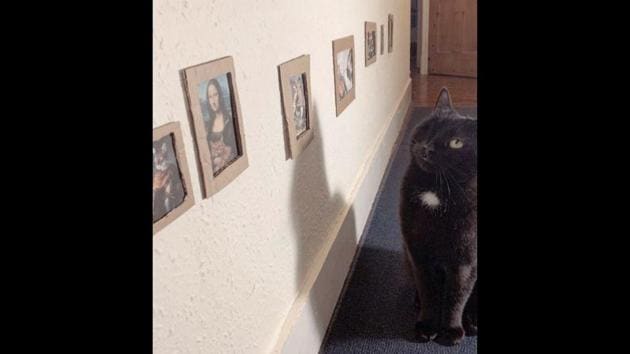 This home-museum contains all the cultural classics but has an added ‘kitty twist’ to them.(Twitter/@LittleLostLad)