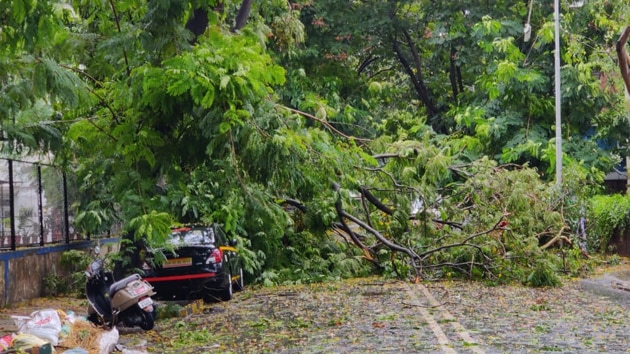 Between 5.30am and 8.30am, the Santacruz weather station, representative of Mumbai, recorded heavy rain at 64.9mm and Colaba received moderate rain of 18.6mm moderate rain. (Satish Bate/HT Photo) Between 5.30am and 8.30am, the Santacruz weather station, representative of Mumbai, recorded heavy rain at 64.9mm and Colaba received moderate rain of 18.6mm moderate rain. (Satish Bate/HT Photo)