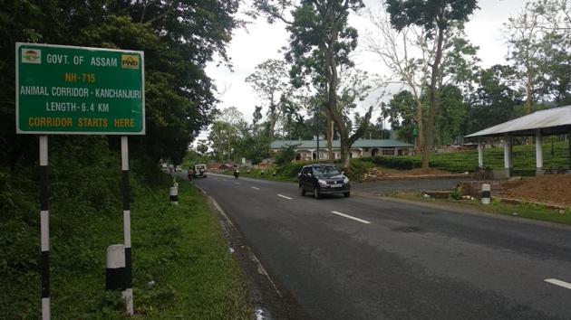 The Kanchanjuri animal corridor in Kaliabar area of Assam’s Nagaon district. The building under construction can be seen in the background. (HT Photo/ Sourced) The Kanchanjuri animal corridor in Kaliabar area of Assam’s Nagaon district. The building under construction can be seen in the background. (HT Photo/ Sourced)