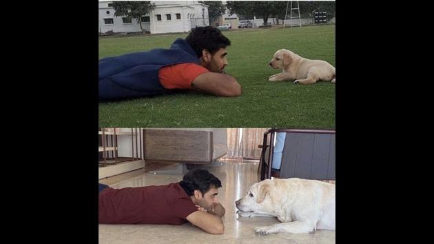 The image shows Bhuvneshwar Kumar and pet doggo, Alex at two distinct time intervals but in the same pose. (Instagram/@imbhuvi) The image shows Bhuvneshwar Kumar and pet doggo, Alex at two distinct time intervals but in the same pose. (Instagram/@imbhuvi)