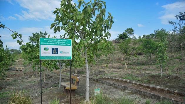 Legal researchers said there should be clarity on the policy and which areas will be earmarked for the development of urban forests.(Milind Saurkar/HT Photo)