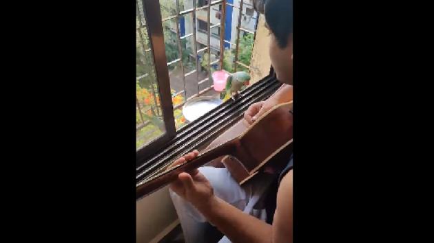 A professional guitarist, Jatin Talukdar is seen doing an unplugged acoustic set for a private audience of two parrots.(Facebook/@Jatin Talukdar) A professional guitarist, Jatin Talukdar is seen doing an unplugged acoustic set for a private audience of two parrots.(Facebook/@Jatin Talukdar)