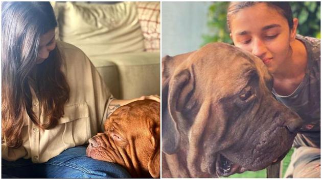 Alia Bhatt and Shaheen are enjoying their time with some doggo love.