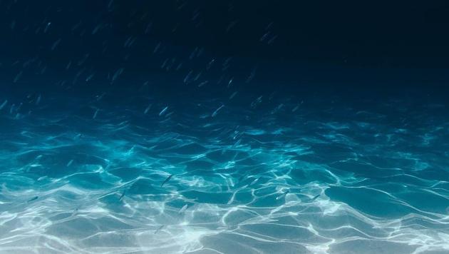 Sound waves travel farther and faster in water than in the air.(Unsplash) Sound waves travel farther and faster in water than in the air.(Unsplash)