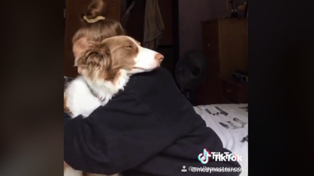 do dogs like to give hugs