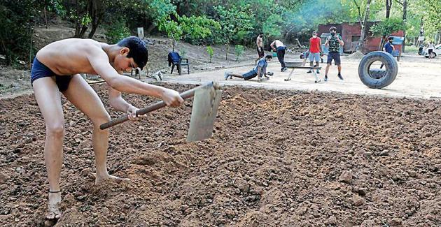 A young wrestler tilling the soil to prepare the akhada near Sukhna Lake in Chandigarh on Monday.(Keshav Singh/HT)