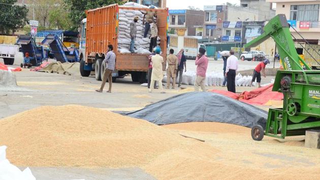 Workers cleaning wheat during the procurement under the shed at grain market gill road area in Ludhiana on April 22, 2020. (Gurpreet Singh/HT Photo) Workers cleaning wheat during the procurement under the shed at grain market gill road area in Ludhiana on April 22, 2020. (Gurpreet Singh/HT Photo)