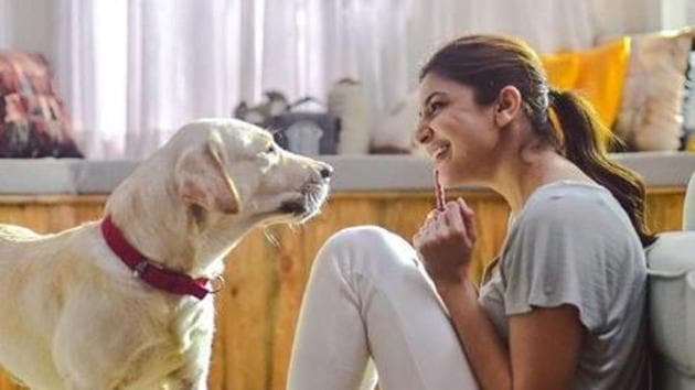 Anushka Sharma is a big animal lover and often advocated for their safety and care.