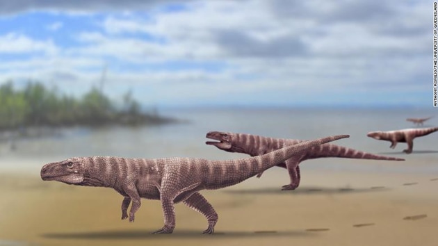 An artist’s impression of what one of these creatures might have looked like (Photo Credit: A Romilio / University of Queensland) An artist’s impression of what one of these creatures might have looked like (Photo Credit: A Romilio / University of Queensland)