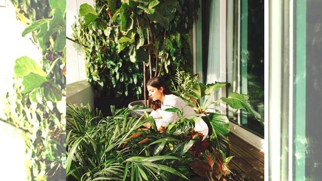 Anushka Sharma shared a glimpse of her balcony garden and called her plants her ‘buddies’. The actor loves gardening in her free time.