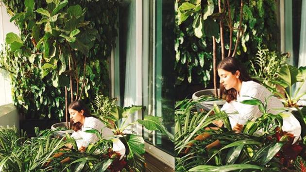 Anushka Sharma has shared a new picture of herself. Anushka Sharma has shared a new picture of herself.