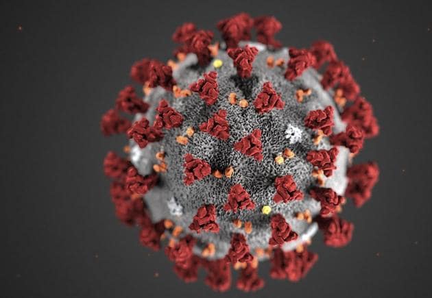 The study, published in the journal Annals of Internal Medicine, suggests that an extraordinary percentage of people infected by the ongoing deadly Covid-19 pandemic never showed symptoms of the disease.(REUTERS) The study, published in the journal Annals of Internal Medicine, suggests that an extraordinary percentage of people infected by the ongoing deadly Covid-19 pandemic never showed symptoms of the disease.(REUTERS)