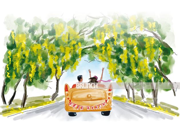 Drive down Delhi’s Amrita Shergill Marg to see the amaltas flowering in all their glory(Illustration: Aparna Ram)