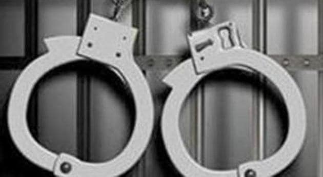 The mink has been sent of 15 days of judicial custody.(Representative image)