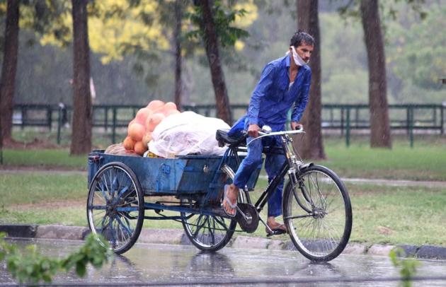A fruit vendor braving the rain in Chandigarh on Saturday. (Sanjeev Sharma/HT)