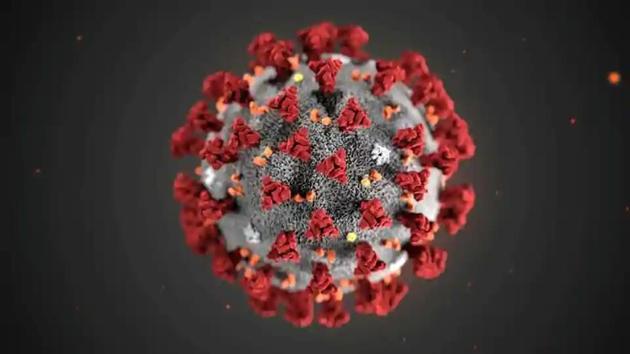 The ultrastructural morphology exhibited by the 2019 Novel Coronavirus (2019-nCoV), which was identified as the cause of an outbreak of respiratory illness first detected in Wuhan, China, is seen in an illustration released by the Centers for Disease Control and Prevention (CDC) in Atlanta, Georgia, US on January 29, 2020. (Reuters Photo) The ultrastructural morphology exhibited by the 2019 Novel Coronavirus (2019-nCoV), which was identified as the cause of an outbreak of respiratory illness first detected in Wuhan, China, is seen in an illustration released by the Centers for Disease Control and Prevention (CDC) in Atlanta, Georgia, US on January 29, 2020. (Reuters Photo)