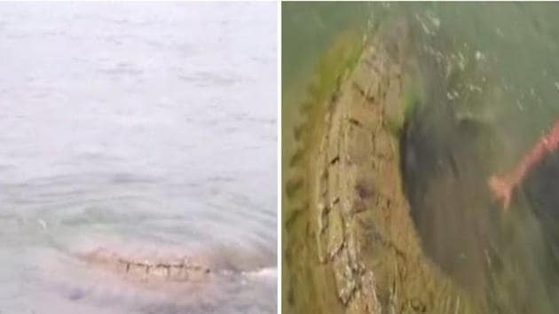 The temple is believed to be around 450 to 500 years old had submerged during a flood in 1933. (ANI) The temple is believed to be around 450 to 500 years old had submerged during a flood in 1933. (ANI)