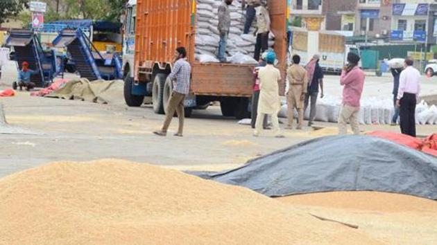 Payment of about Rs22,000 crore was deposited against the procured wheat in the bank accounts of 1.48 million farmers, the state government said.(HT photo) Payment of about Rs22,000 crore was deposited against the procured wheat in the bank accounts of 1.48 million farmers, the state government said.(HT photo)