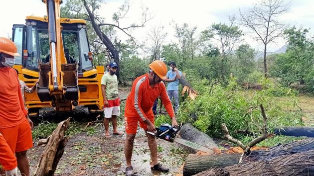 Residents of nearby Supe village have been assisting the forest staff in mending damages to affected structures.(ANI file photo. Representative image) Residents of nearby Supe village have been assisting the forest staff in mending damages to affected structures.(ANI file photo. Representative image)