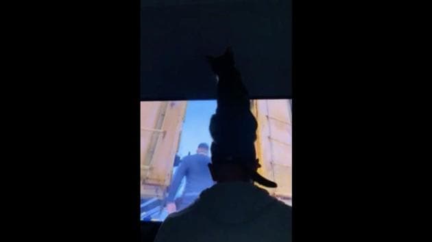 The image shows Luna, the feline perched on her hooman’s capped head while he sits in front of the TV playing video games.(Reddit/@MassiveGeniusss)
