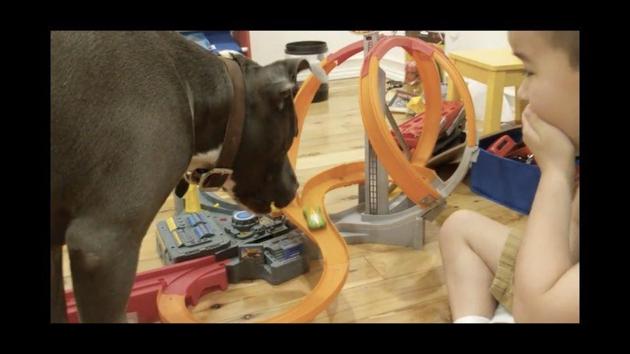 The image shows a young boy and his doggo sitting next to a Hot Wheels racing track.(Reddit/@Svargas05)