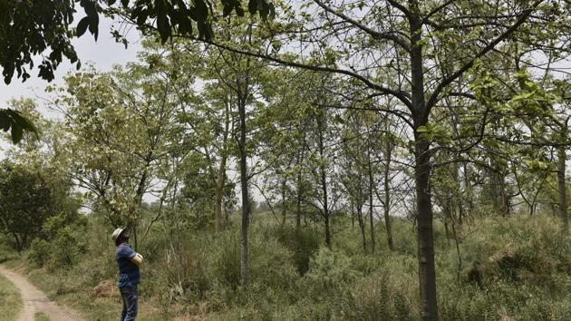 Residents and environmental activists plan to write to the state chief minister and the home minister to postpone the installation of equipment in the medicine park, citing issues related to ecological damage and social distancing(Sanchit Khanna/HT file photo. Representative image) Residents and environmental activists plan to write to the state chief minister and the home minister to postpone the installation of equipment in the medicine park, citing issues related to ecological damage and social distancing(Sanchit Khanna/HT file photo. Representative image)
