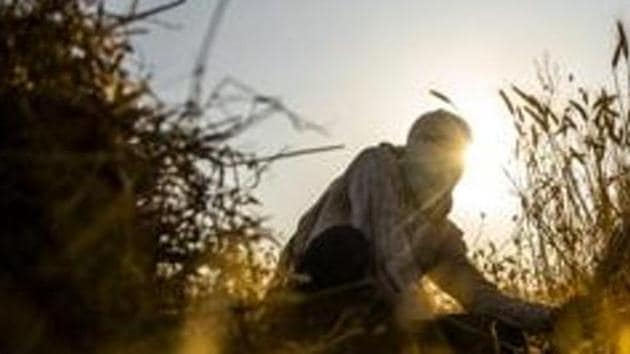 The government also said that it has generated employment for around 25 lakh villagers under the Mahatma Gandhi National Employment Rural Guarantee Scheme (MGNREGS) amid Covid-19 induced nationwide lockdown restrictions.(Bloomberg file photo. Representative image) The government also said that it has generated employment for around 25 lakh villagers under the Mahatma Gandhi National Employment Rural Guarantee Scheme (MGNREGS) amid Covid-19 induced nationwide lockdown restrictions.(Bloomberg file photo. Representative image)
