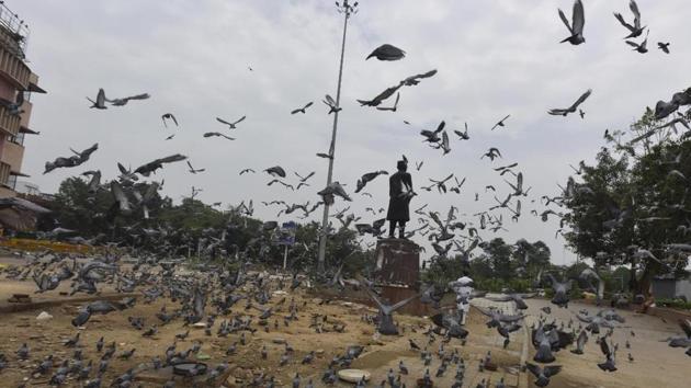 Delhi has received sporadic rains over the past couple of days during the pre-Monsoon showers. (HT Photo/Sonu Mehta) Delhi has received sporadic rains over the past couple of days during the pre-Monsoon showers. (HT Photo/Sonu Mehta)