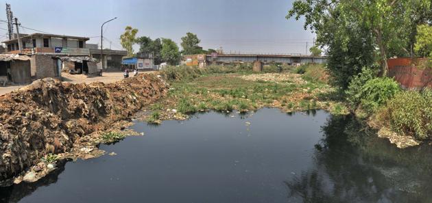 Locals worry that blockage in Buddha Nallah will lead to waterlogging in various parts of Ludhiana.(Gurpreet Singh/HT)