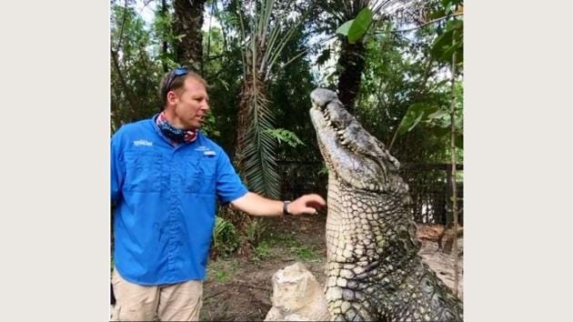 Nothing to see here just a video of a human scratching a huge crocodile ...