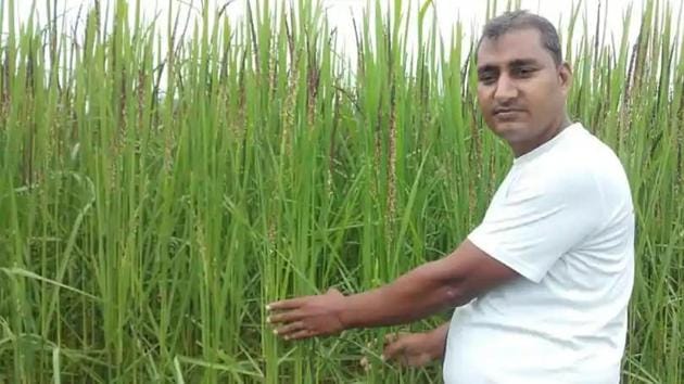 Farmer Ravi Prakash Maurya with his crop of black rice in Prayagraj, Uttar Pradesh.(File photo) Farmer Ravi Prakash Maurya with his crop of black rice in Prayagraj, Uttar Pradesh.(File photo)