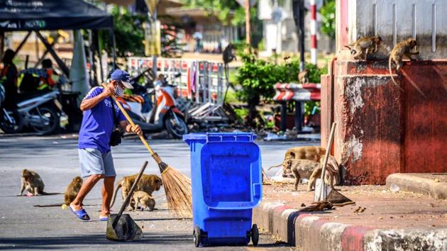 A worker cleans a roundabout, one of the main gathering points of the longtail macaques in Lopburi on June 20. Some areas of the city have simply been surrendered to the monkeys. An abandoned cinema is the macaques’ headquarters -- and cemetery. Dead monkeys are laid to rest by their peers in the projection room in the cinema’s rear and any human who enters is attacked. (Mladen Antonov / AFP) A worker cleans a roundabout, one of the main gathering points of the longtail macaques in Lopburi on June 20. Some areas of the city have simply been surrendered to the monkeys. An abandoned cinema is the macaques’ headquarters -- and cemetery. Dead monkeys are laid to rest by their peers in the projection room in the cinema’s rear and any human who enters is attacked. (Mladen Antonov / AFP)