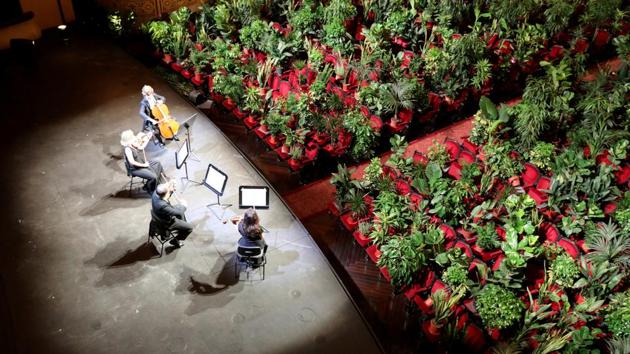 Nursery plants are seen placed in people's seats during a rehearsal as Barcelona's Gran Teatre del Liceu opera reopens its doors with a concert for plants to raise awareness about the importance of an audience after the lockdown, amid the coronavirus disease (COVID-19) outbreak, in Barcelona, Spain June 22, 2020. (REUTERS/Nacho Doce)