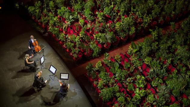 Musicians rehearse at the Gran Teatre del Liceu in Barcelona, Spain, Monday, June 22, 2020. The Gran Teatre del Liceu reopens its doors, in which the 2,292 seats of the auditorium will be occupied on this occasion by plants. (AP Photo/Emilio Morenatti) Musicians rehearse at the Gran Teatre del Liceu in Barcelona, Spain, Monday, June 22, 2020. The Gran Teatre del Liceu reopens its doors, in which the 2,292 seats of the auditorium will be occupied on this occasion by plants. (AP Photo/Emilio Morenatti)