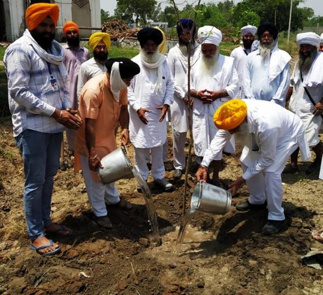 The SGPC functionaries along with environmentalist Baba Sewa Singh planting trees at Gurdwara Baba Bir Singh, Rattoke.(HT Photo)