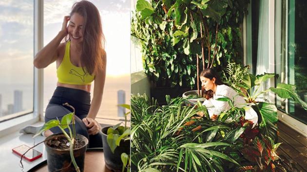 Anushka Sharma considers her plants as her buddies, and often shares pictures of herself tending to them.